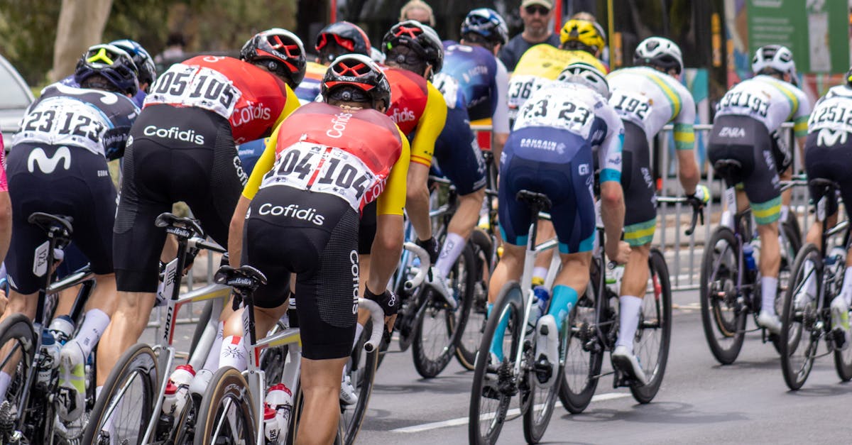 Eco-Friendly Solutions for Unclogging Your Toilet