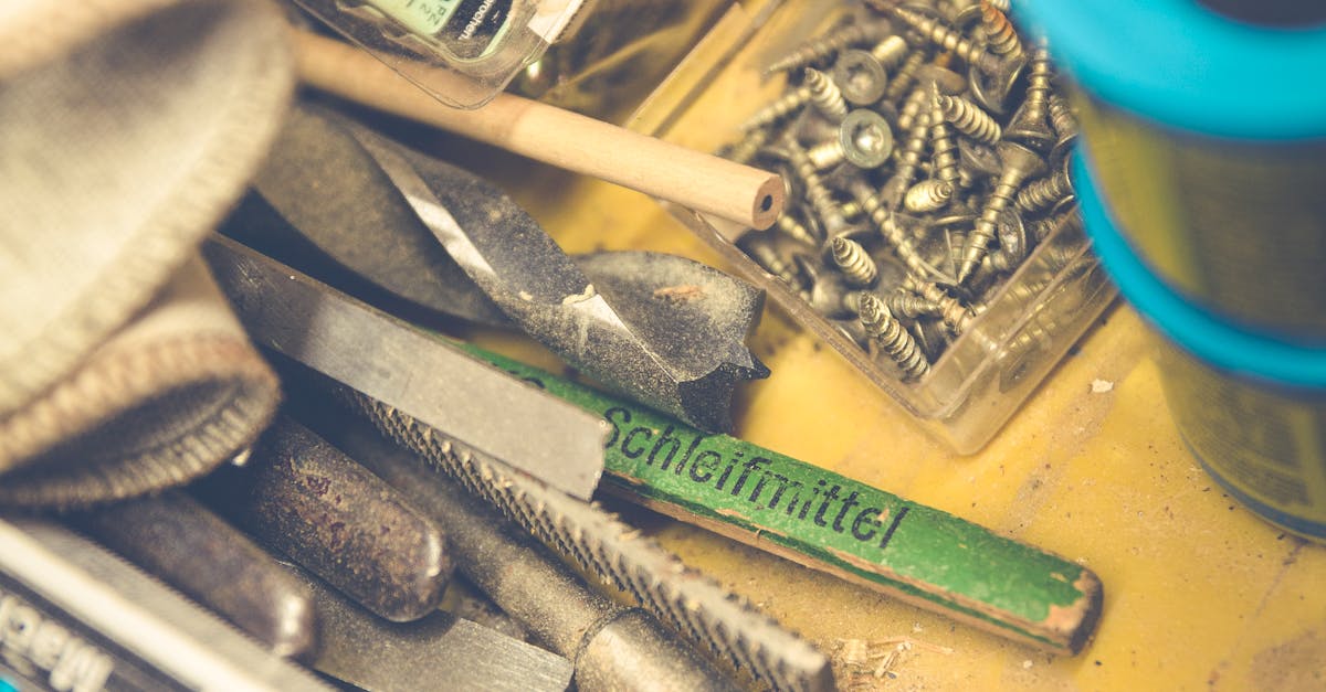 Identifying the Causes of Blocked Drains in Adelaide Homes