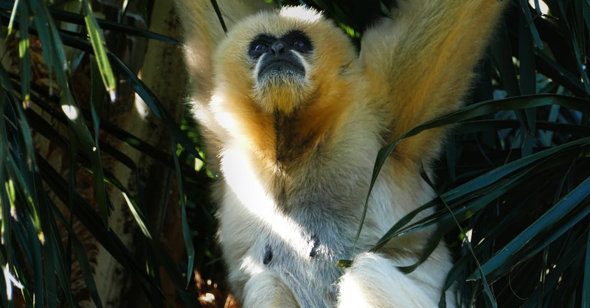 Repair vs Replacement: When to Call in an Expert