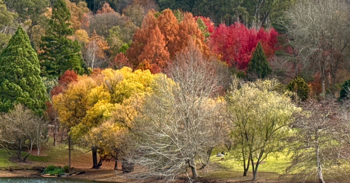 Understanding Different Types of Hot Water Systems